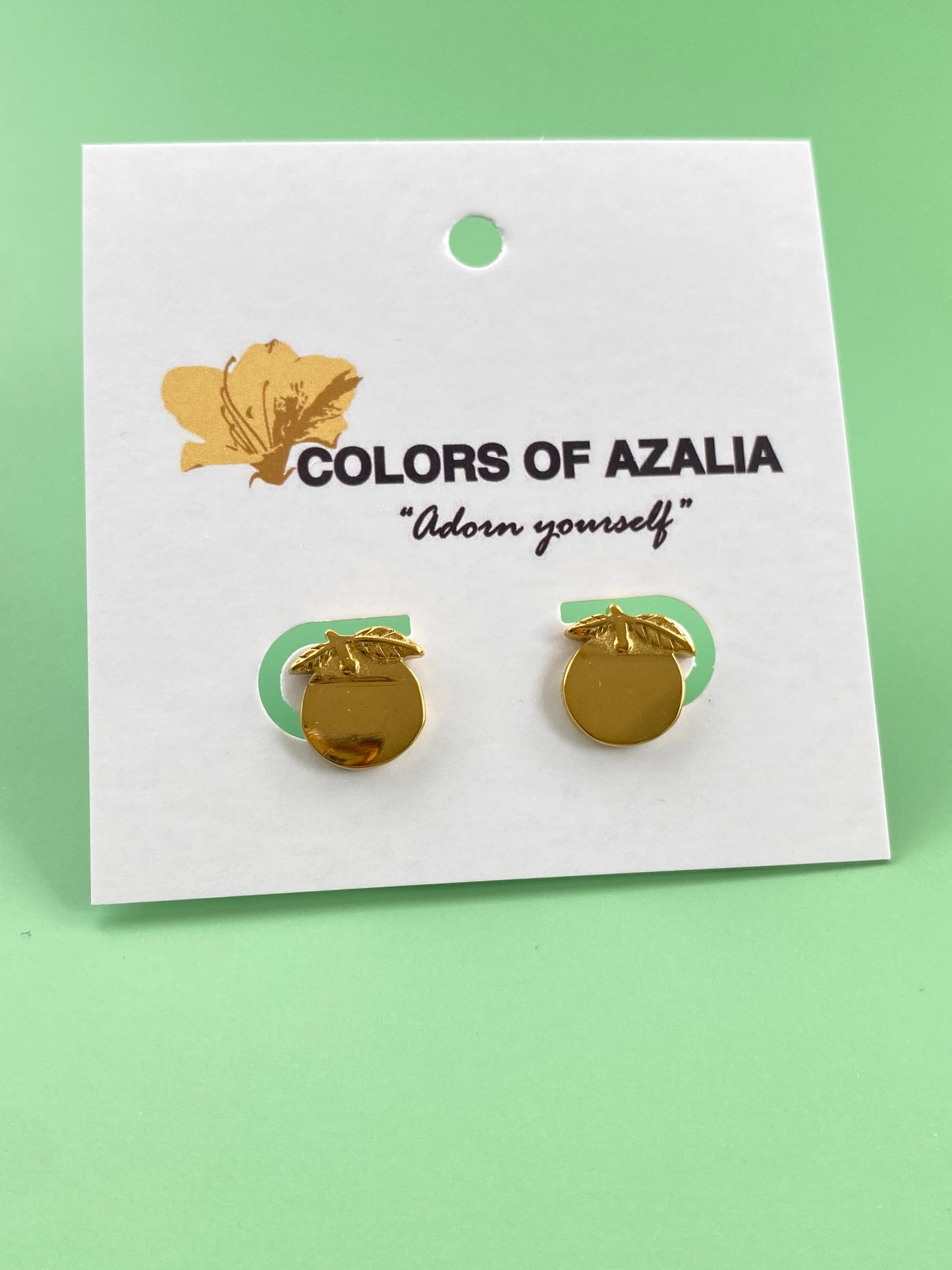 Orange Stud Earrings