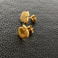 Orange Stud Earrings