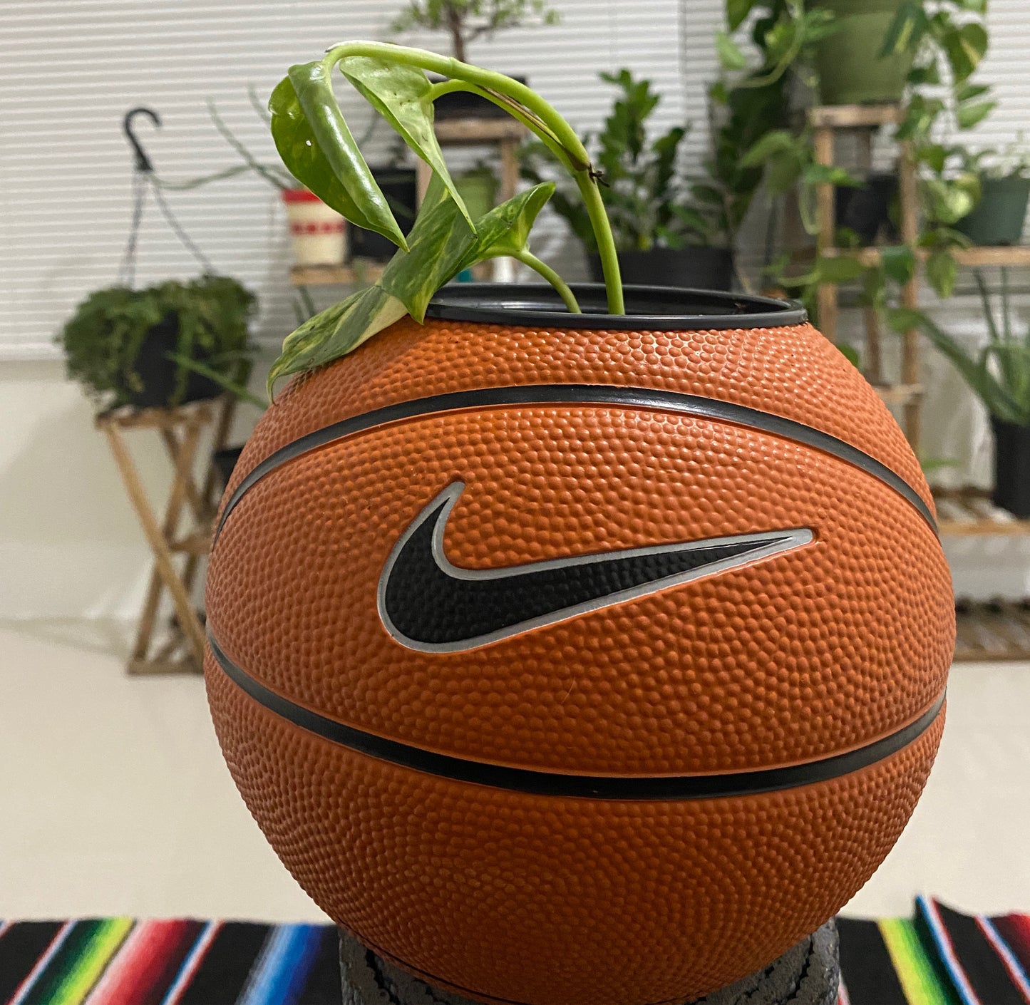 Mini  Basketball Planter